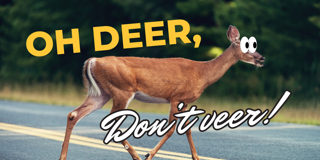 Deer-Vehicle Collisions